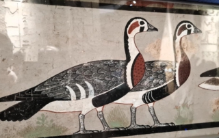 K1024_20251015_114441